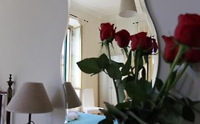 Abaco Bed & Breakfast